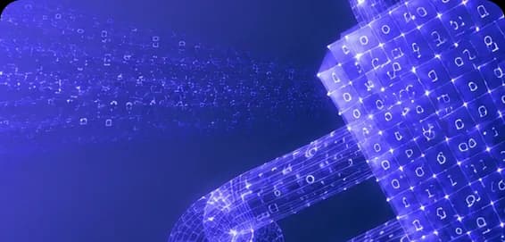 Data Anonymization