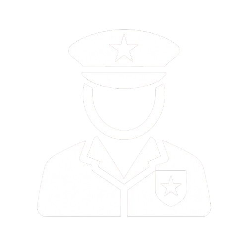 Defense Icon