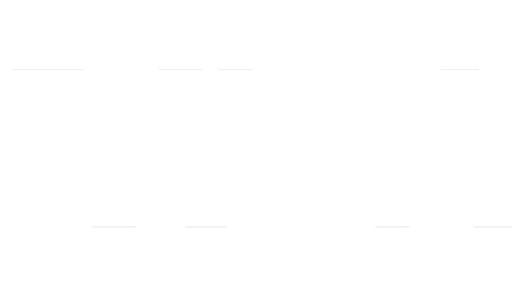 visa logo